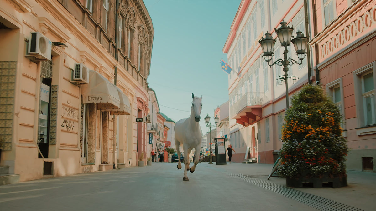 Finished color grade with warm natural tones and balanced contrast