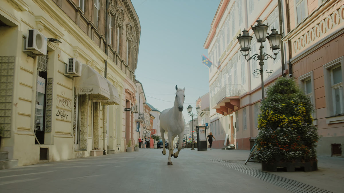 Original image before professional color grading