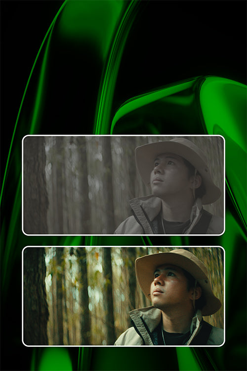 Verdant 250 film print profile delivering rich greens, natural color separation, and cinematic film-inspired image rendering in HueCrafter.