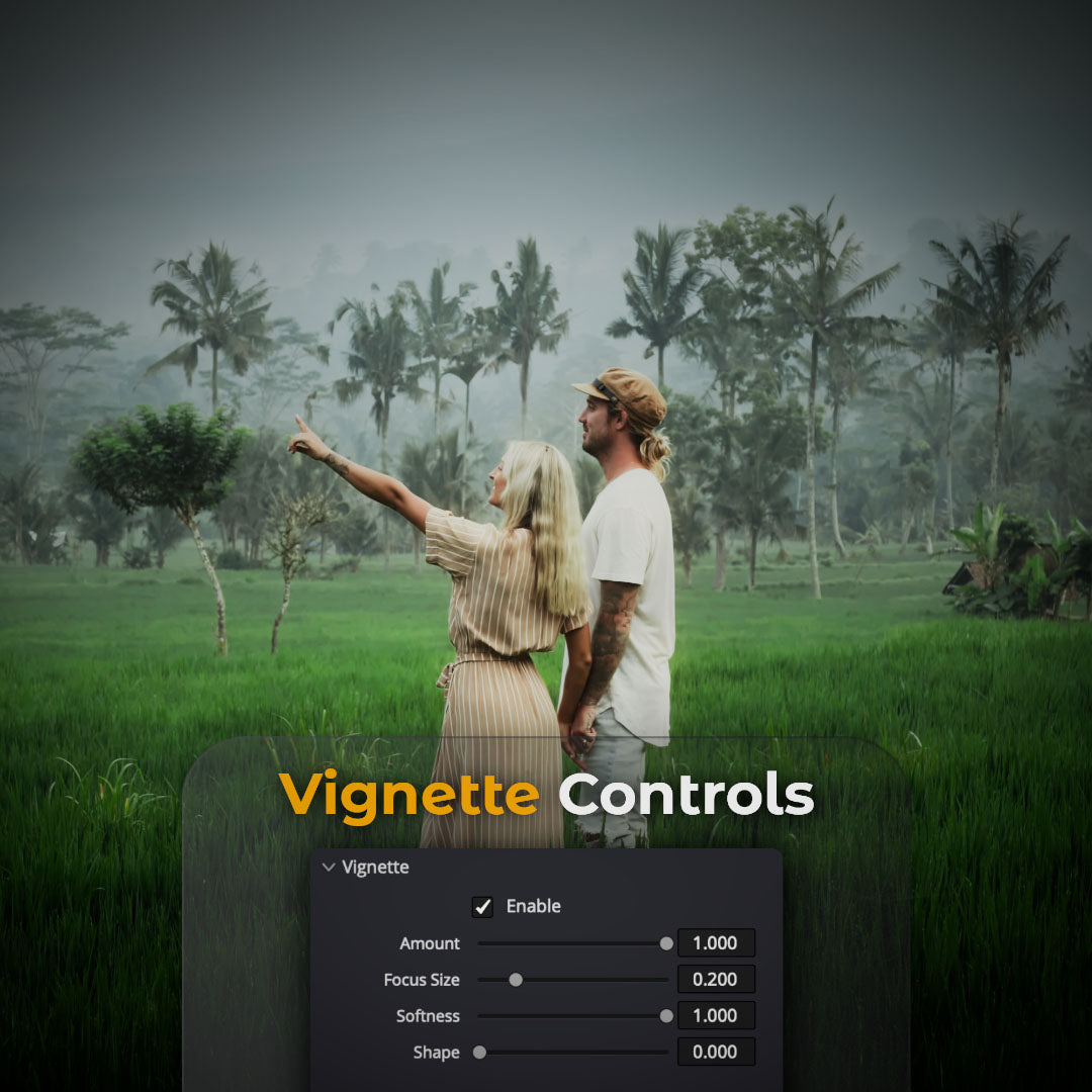 HueCrafter© Vignette Controls. Vignette panel with Amount, Focus Size, Softness and Shape sliders over a couple in a green field among misty palm trees, with darkened edges.