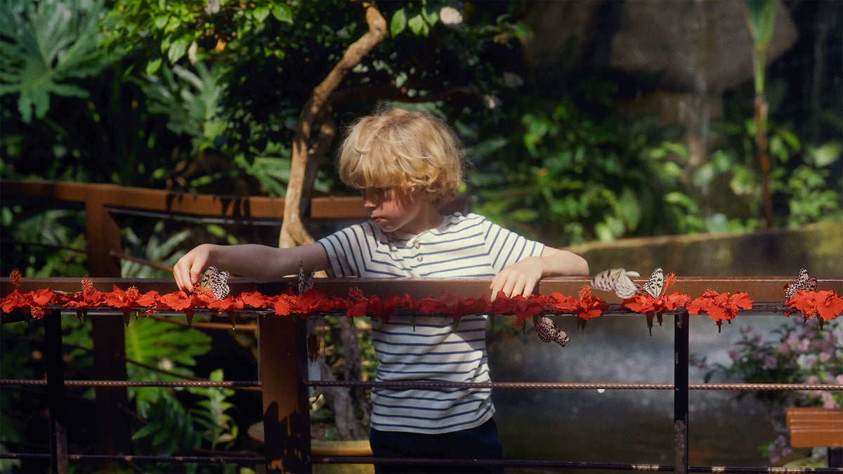 HueCrafter© ASTRA 50 film print emulation on a child at a flower-lined railing with butterflies