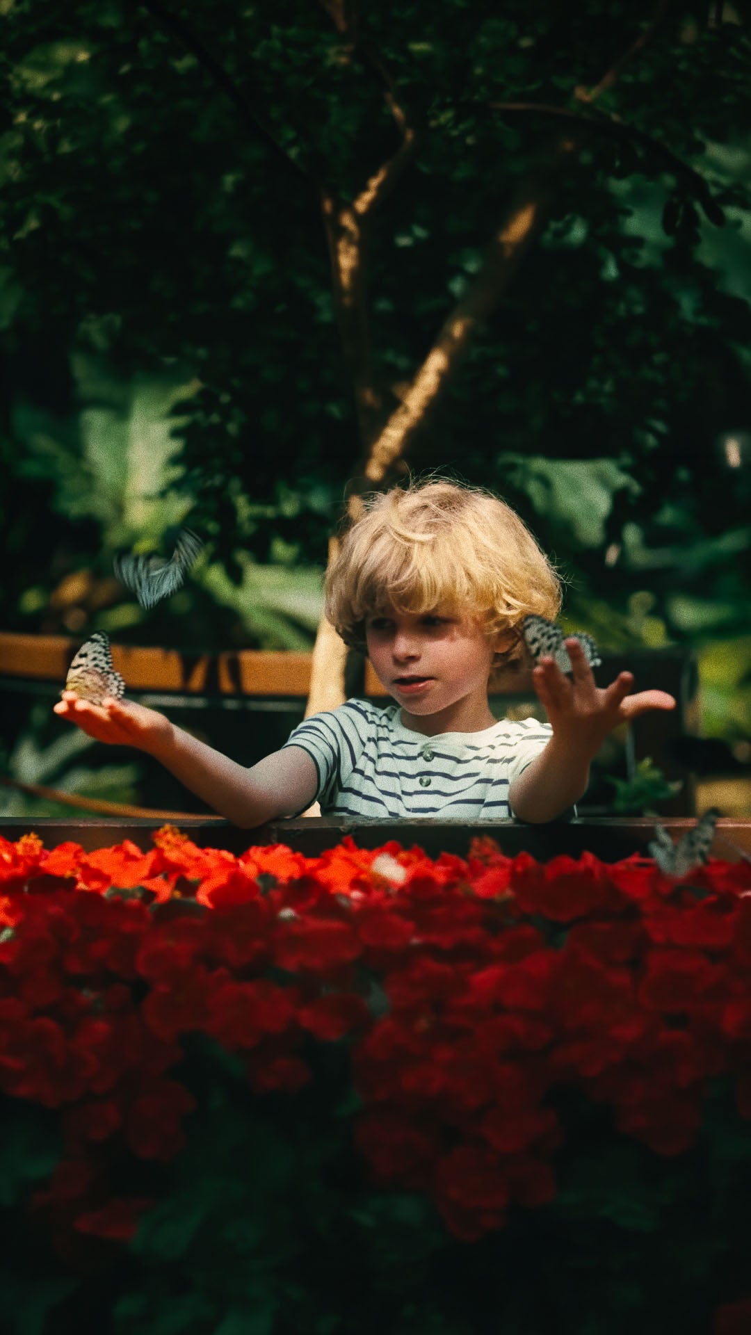 HueCraft professional color grading example demonstrating rich color separation, controlled contrast and film-inspired image rendering