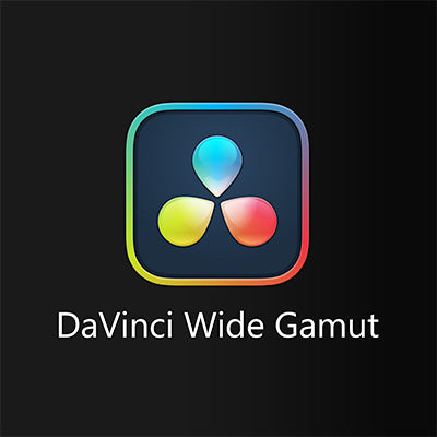 DaVinci Wide Gamut input profile supported by HueCrafter©